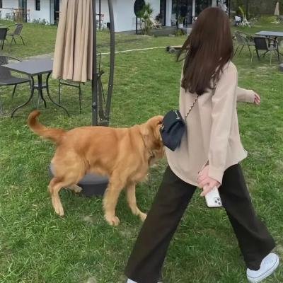 愤怒的印度女神